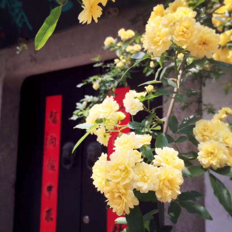 Zuo Wang Zhai Guesthouse Suzhou  Extérieur photo